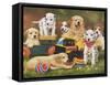 Puppy Play Group-William Vanderdasson-Framed Stretched Canvas