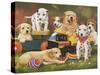 Puppy Play Group-William Vanderdasson-Stretched Canvas