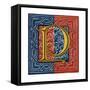 Initial Letter P-Henry Shaw-Framed Stretched Canvas