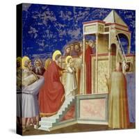 The Presentation of the Virgin at the Temple, circa 1305-Giotto di Bondone-Stretched Canvas