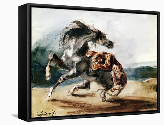 Tiger Attacking a Wild Horse-Eugene Delacroix-Framed Stretched Canvas