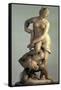 Florence Victorious over Pisa-Giambologna-Framed Stretched Canvas