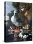 Waterfowl in a Classical Landscape, 17th Century-Melchior de Hondecoeter-Stretched Canvas
