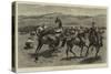 Wrestling on Horseback-William Small-Stretched Canvas