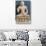 Buddha, Statue from Mankuwar, Madhya Pradesh, India-null-Stretched Canvas displayed on a wall