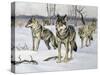 Gray Wolf (Canis Lupus), Canidae, Drawing-null-Stretched Canvas