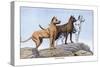 Great Danes-Louis Agassiz Fuertes-Stretched Canvas