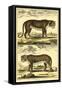 Diderot's Panther and Leopard-Denis Diderot-Framed Stretched Canvas
