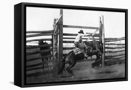 Bronco Busting-L.a. Huffman-Framed Stretched Canvas