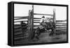 Bronco Busting-L.a. Huffman-Framed Stretched Canvas