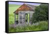 USA, Washington State, Palouse. Old abandoned house surrounded by wildflowers.-Julie Eggers-Framed Stretched Canvas