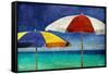 Beach Companions-Charlie Carter-Framed Stretched Canvas