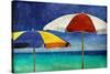 Beach Companions-Charlie Carter-Stretched Canvas