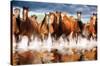 Horses-Trends International-Stretched Canvas