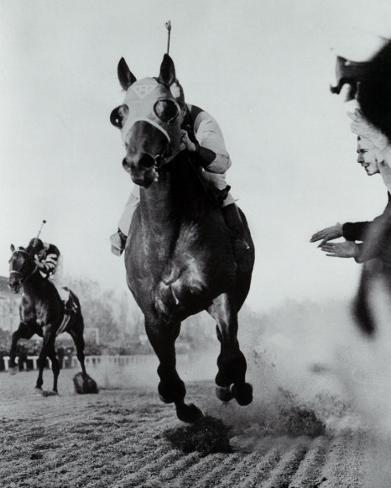 Seabiscuit Quote : Top 14 Seabiscuit Motivational Quotes Famous Quotes