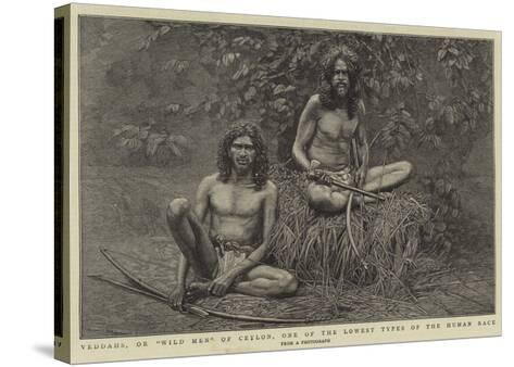 all types of human races