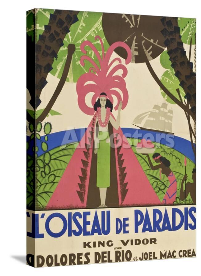 Bird Of Paradise Loiseau De Paradis