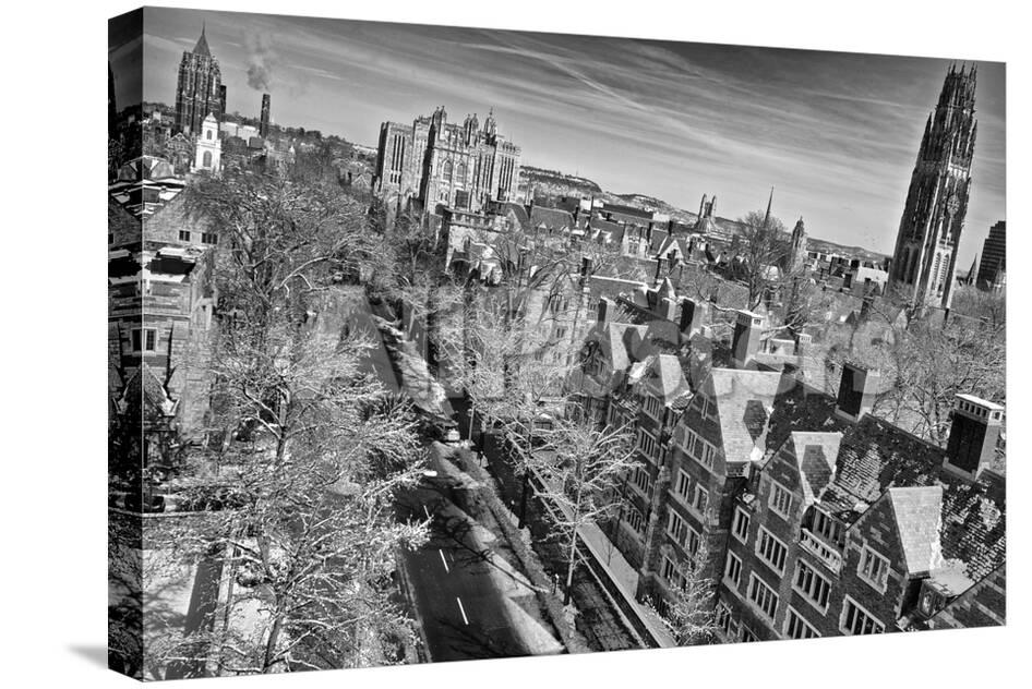 aerial view of yale