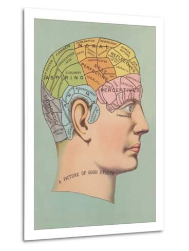 Phrenology Chart Poster