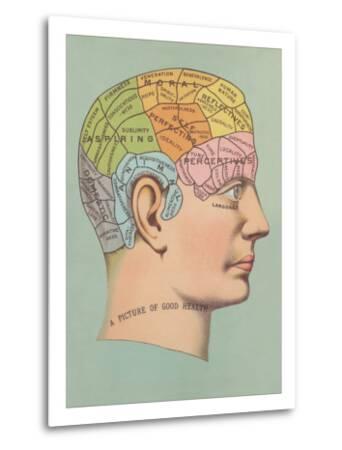 Phrenology Chart Poster