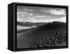 0-1-0038, Dunes and Clouds, 1947 (gelatin silver print)-Brett Weston-Framed Stretched Canvas
