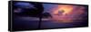 0106 Night into Day-Doug Cavanah-Framed Stretched Canvas