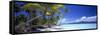 0130 Tropical Paradise-Doug Cavanah-Framed Stretched Canvas