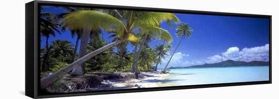 0130 Tropical Paradise-Doug Cavanah-Framed Stretched Canvas