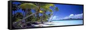 0130 Tropical Paradise-Doug Cavanah-Framed Stretched Canvas