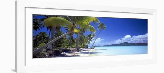 0130 Tropical Paradise-Doug Cavanah-Framed Giclee Print