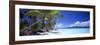 0130 Tropical Paradise-Doug Cavanah-Framed Giclee Print