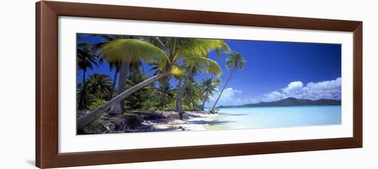 0130 Tropical Paradise-Doug Cavanah-Framed Giclee Print