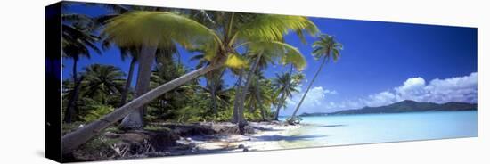 0130 Tropical Paradise-Doug Cavanah-Stretched Canvas