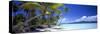 0130 Tropical Paradise-Doug Cavanah-Stretched Canvas