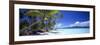 0130 Tropical Paradise-Doug Cavanah-Framed Giclee Print