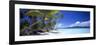 0130 Tropical Paradise-Doug Cavanah-Framed Giclee Print