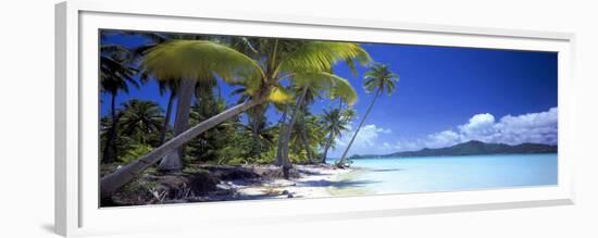 0130 Tropical Paradise-Doug Cavanah-Framed Giclee Print