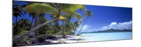 0130 Tropical Paradise-Doug Cavanah-Mounted Giclee Print