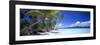 0130 Tropical Paradise-Doug Cavanah-Framed Premium Giclee Print