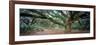 0247 Branching Out-Doug Cavanah-Framed Giclee Print