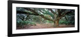 0247 Branching Out-Doug Cavanah-Framed Giclee Print