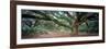 0247 Branching Out-Doug Cavanah-Framed Giclee Print