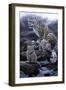 0339-Jeremy Paul-Framed Giclee Print