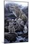 0339-Jeremy Paul-Mounted Giclee Print