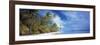 0404-Doug Cavanah-Framed Giclee Print