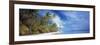 0404-Doug Cavanah-Framed Giclee Print