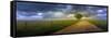 0432 The Road Home-Doug Cavanah-Framed Stretched Canvas