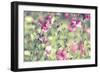 043-Incredi-Framed Giclee Print