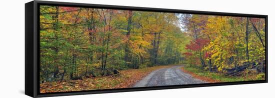 0627 Autumn Road-Doug Cavanah-Framed Stretched Canvas