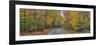 0627 Autumn Road-Doug Cavanah-Framed Giclee Print